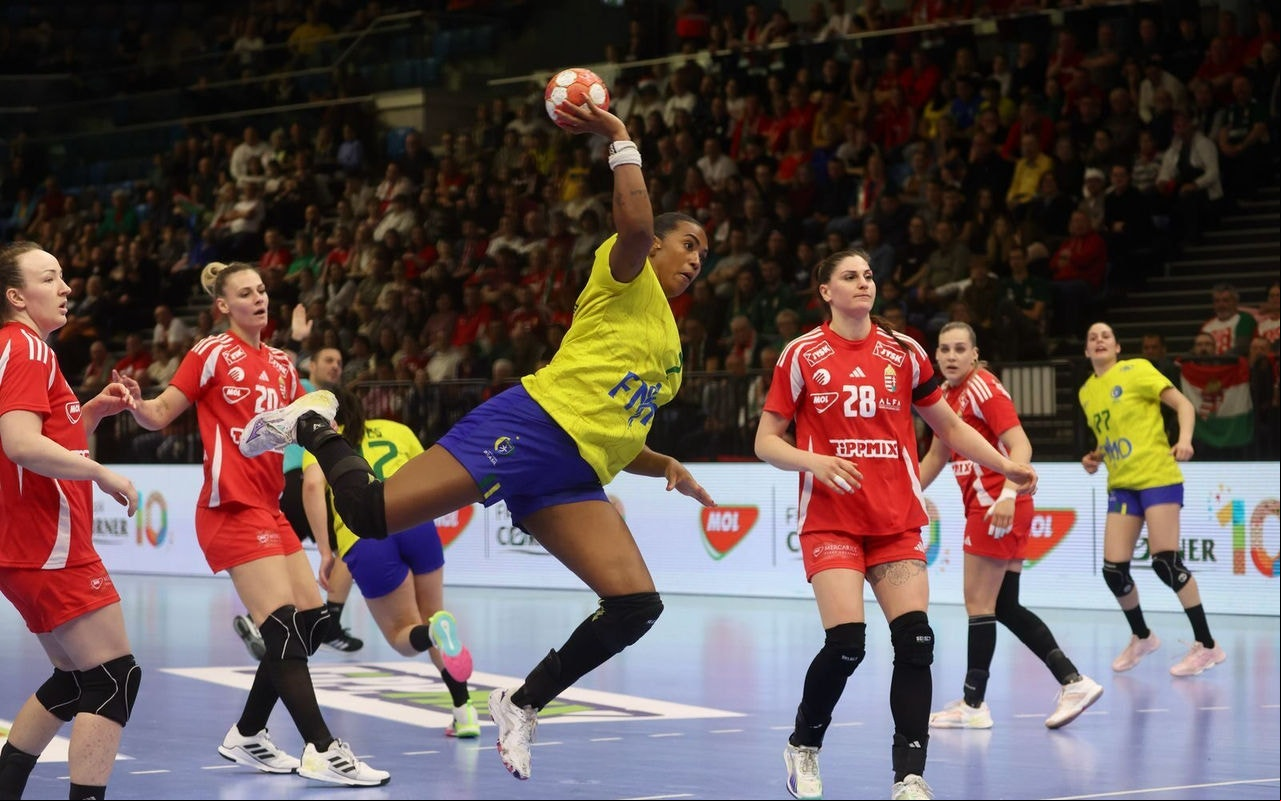 Brasil conquistou o título mundial em 2013 (Foto: Divulgação/ CBHb)