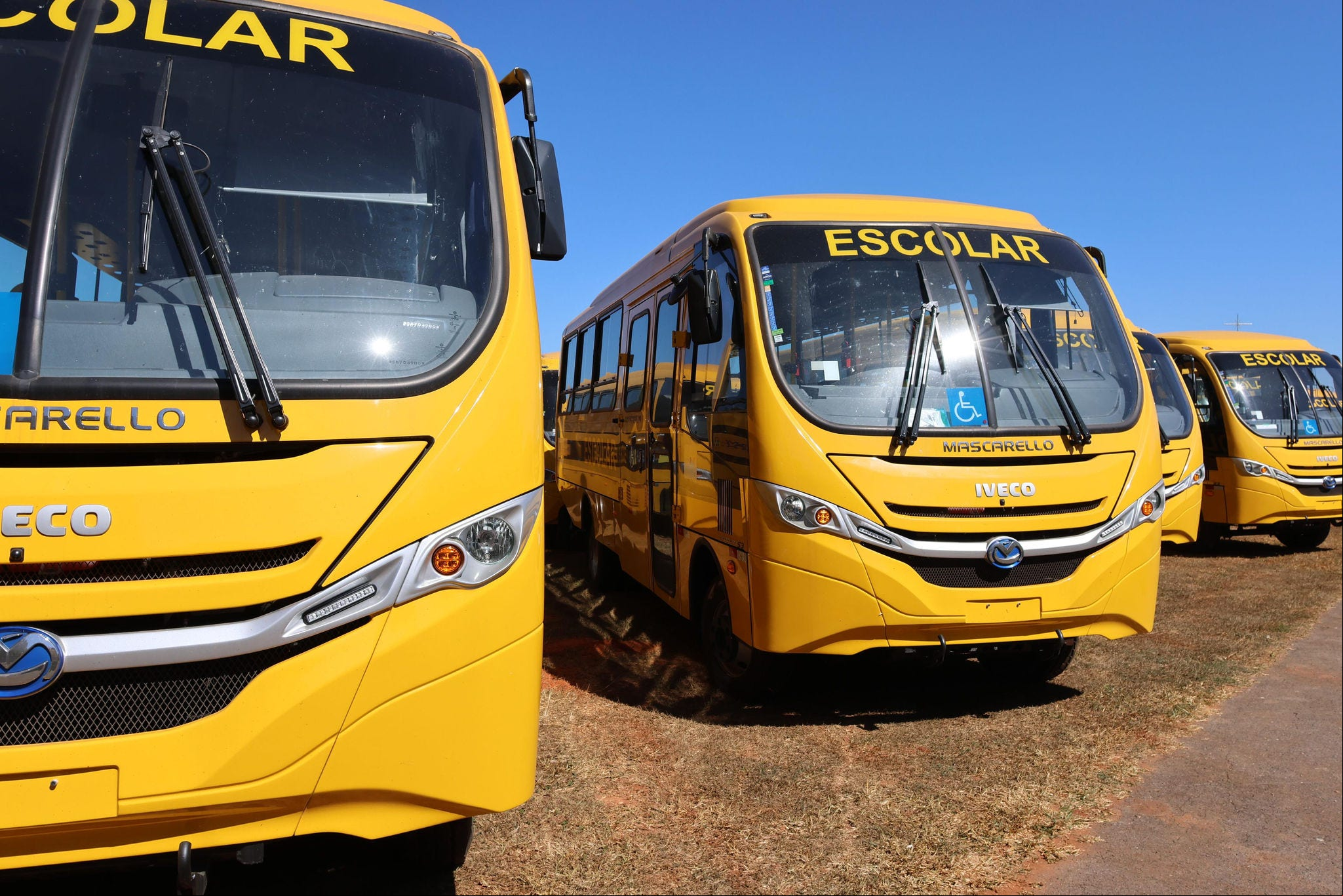 A IVECO BUS é líder no fornecimento de ônibus escolares do Caminho da Escola, com 7.100 unidades habilitadas