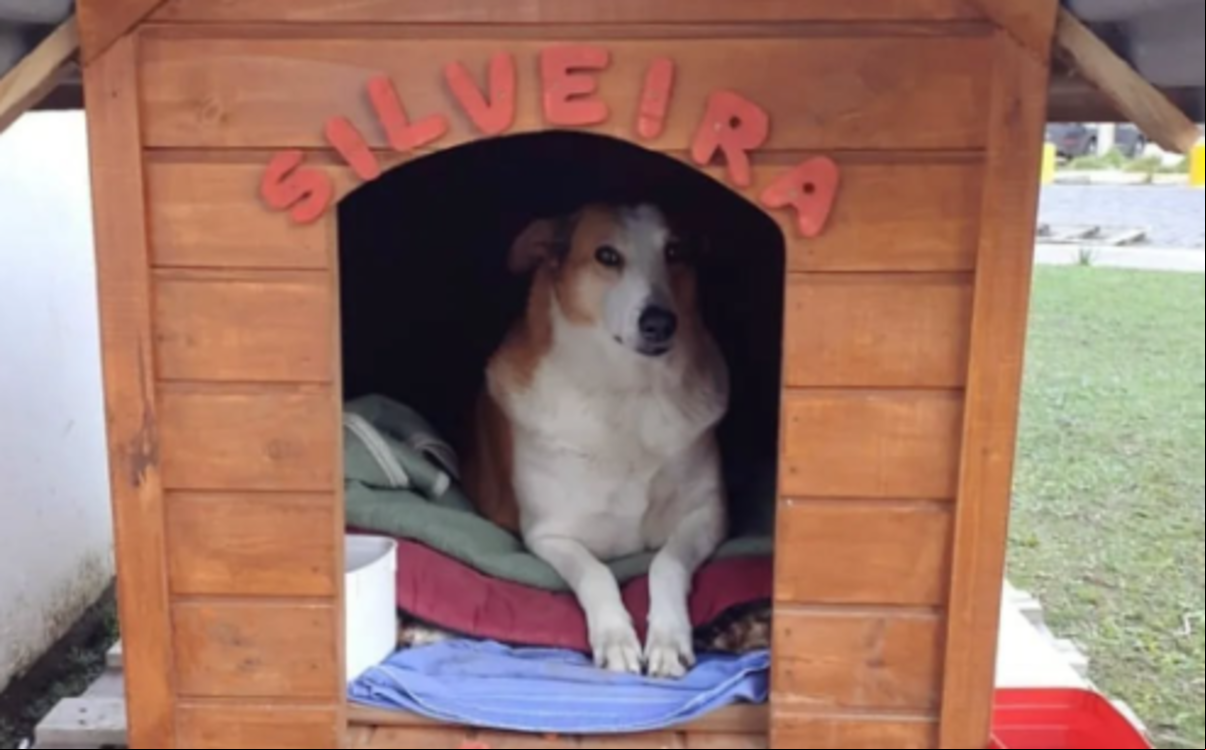 Silveira virou mascote dos alunos da UFSM