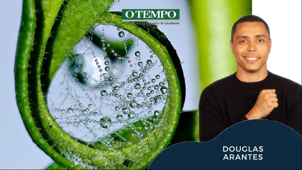 Imagem ilustrativa de preservação do meio ambiente