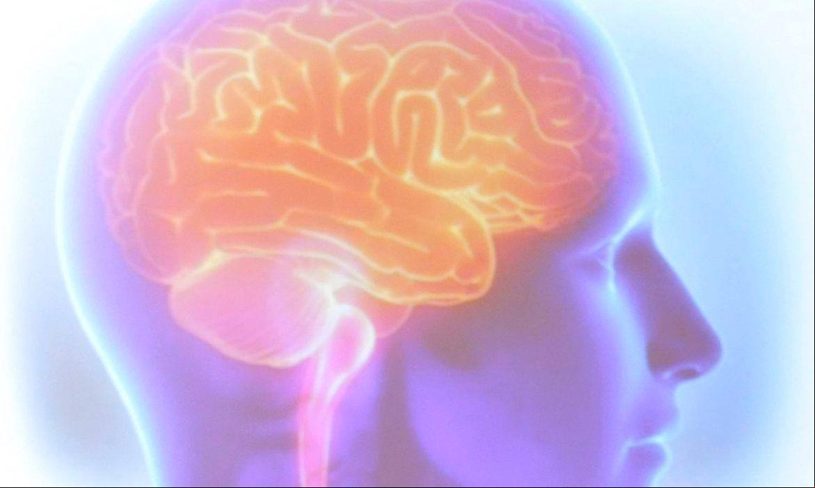 cerebrojpg Esquecer nem sempre é uma questão de falha de memória; pode ser uma estratégia