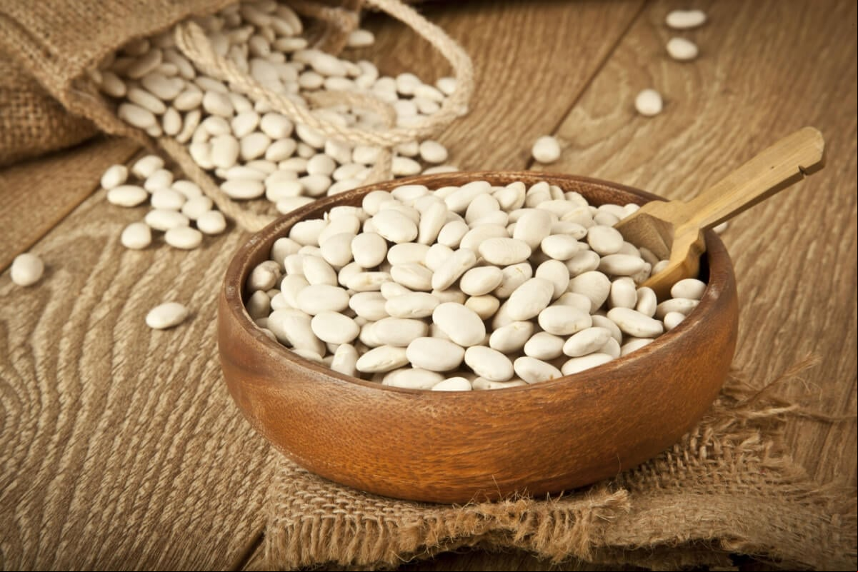 O feijão-branco é uma excelente fonte de proteína vegetal