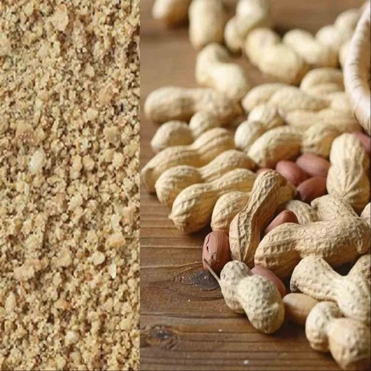 O farelo de amendoim é um produto derivado do esmagamento de sementes de amendoim e da extração de seu óleo
