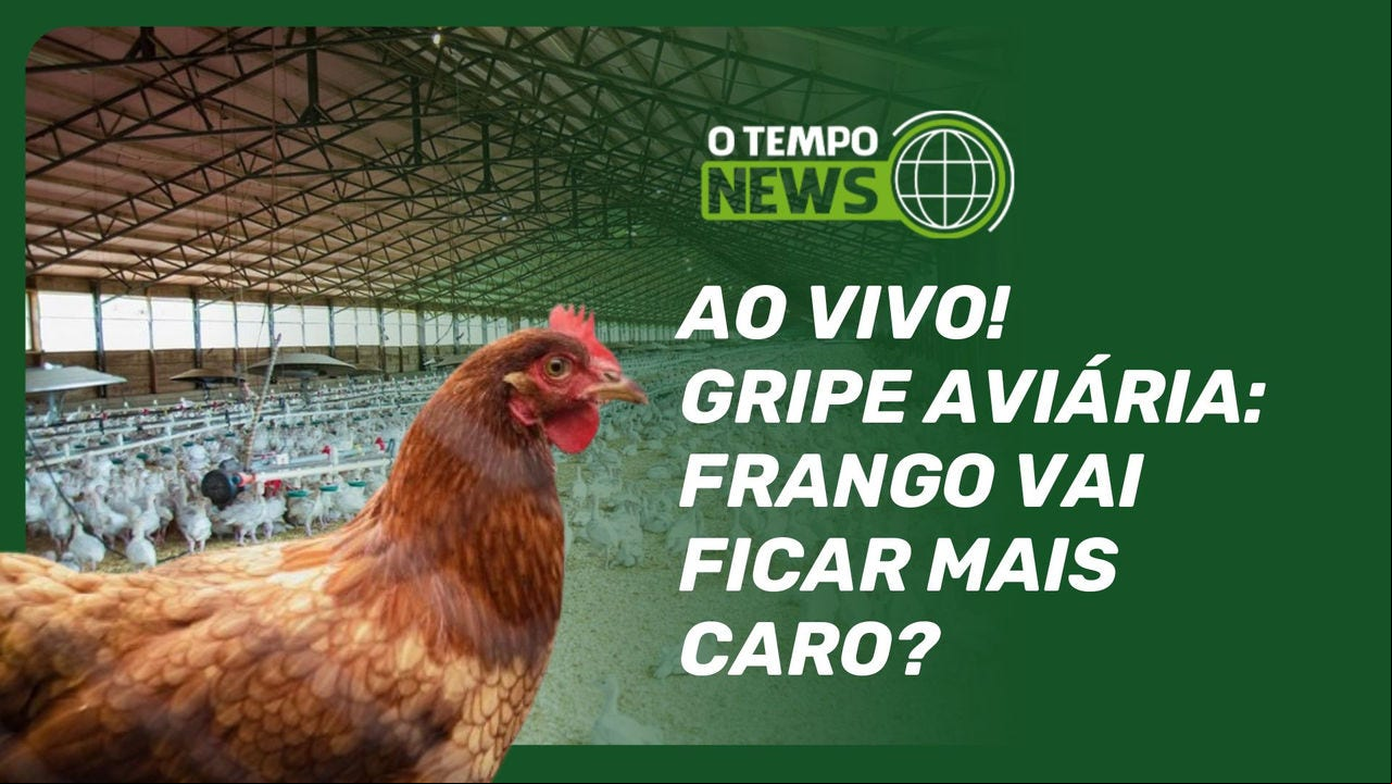 Após confirmação de gripe aviária, volume de exportações do Brasil nos próximos meses deve ser impactado