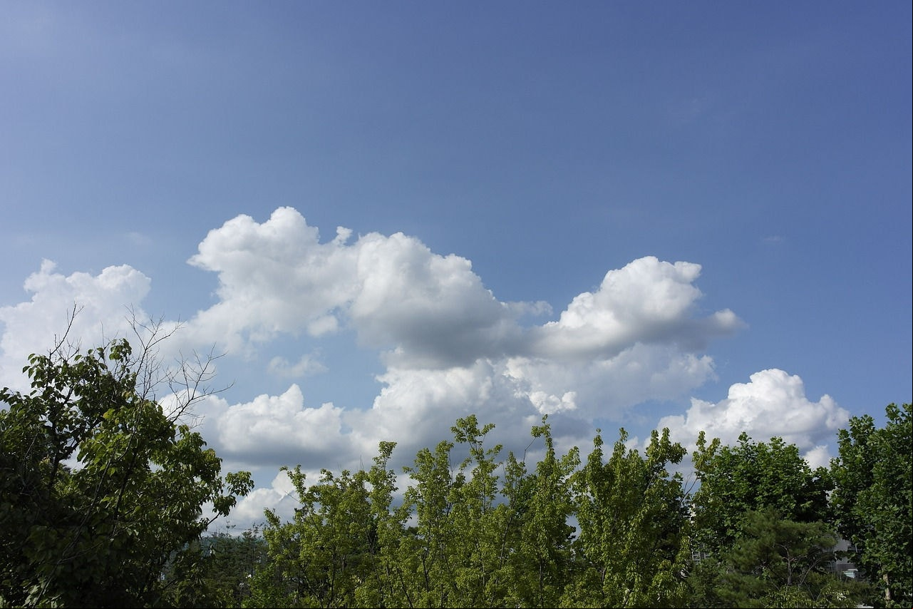 O dia será de tempo aberto, com céu claro e poucas nuvens.