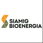 e mais publicações de Siamig